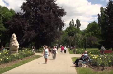 Pierwszy rok działalności Zarządu Zieleni Miejskiej