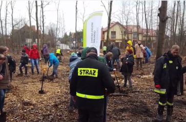 Mieszkańcy Krakowa posadzili nowe drzewa