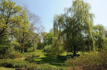 Dbam o zieleń i czyste powietrze – piknik w parku Jordana