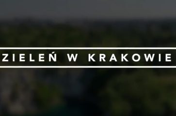 Zieleń w Krakowie