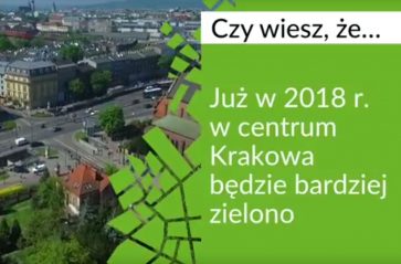 Zielony Kraków daje przykład!