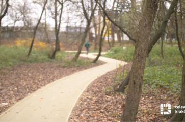 Naturalny park rzeczny Wilga