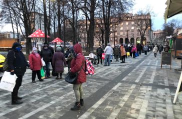 Świąteczny karp dla Krakowa już od 6 grudnia