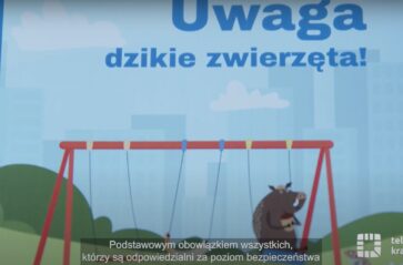 Miasto edukuje i apeluje: nie dokarmiaj dzików