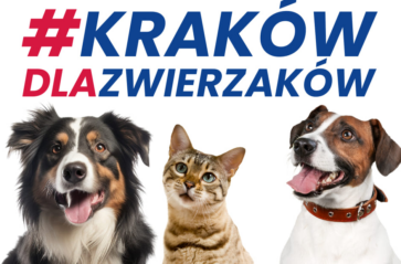 #KrakówDlaZwierzaków – 4,5 tony darów dla schroniska