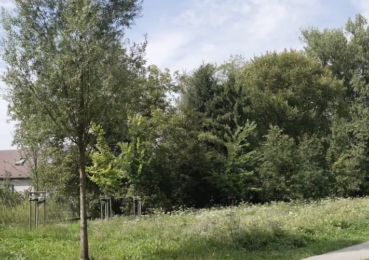 Ogród Płaszów – zielona przestrzeń w sercu Podgórza