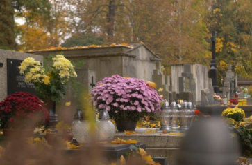 Wszystkich Świętych – praktyczne porady