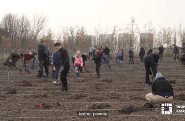 Nowy las w Krakowie – 15 tysięcy drzewek dla mieszkańców