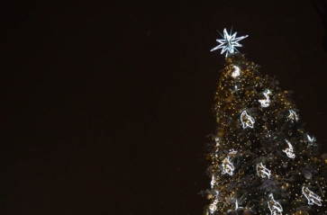 Tegoroczne rozświetlenie choinki bez podwyższonych kosztów