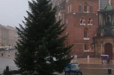 Muzyczne rozświetlenie choinki na Rynku Głównym już jutro
